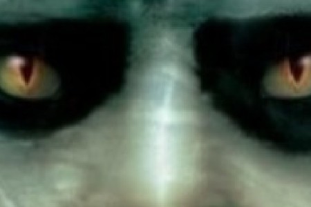 Halloween Contact Lenses Halloween Contact Lenses