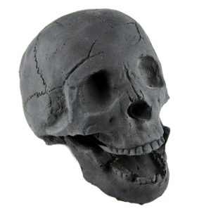 Fireproof Human Skull